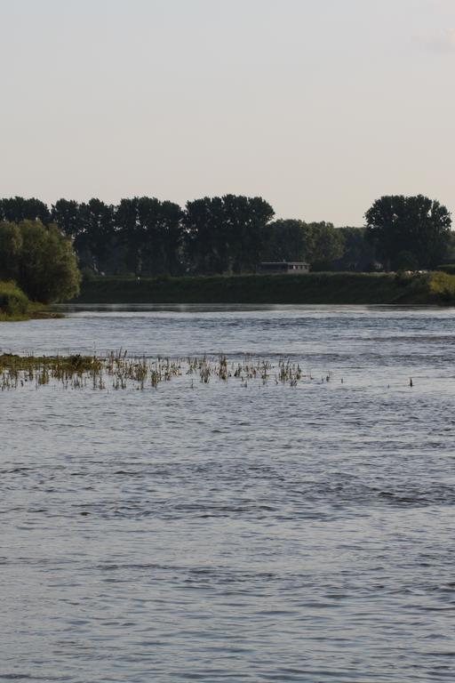 Biedermeier Born Oda fotoğraf